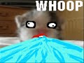 shoop da whoop random