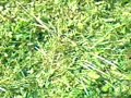 17 Rajd Rzeszowski OS ?yzn�w