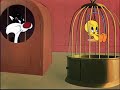 Tweety Tweety