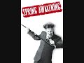 Spring Awakening- The Guilty Ones