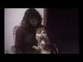 Roliga katter ! Funny cat.