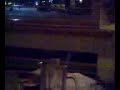 Andy and Brad: fun with drinks