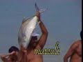 Paysages de Djibouti Paysages de Djibouti
