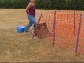 Flyball Training session at Kellington Power Racers