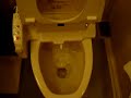 Japanese Toilet Japanese Toilet