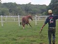 Eron da Água Branca