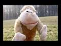 Seven ending with puppets - Seven Se7en - Kevin Spacey - Flixster Video