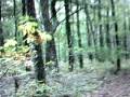 Mashpee Woodlands Mountain Bike Trip Mashpee Woodlands Mountain Bike Trip