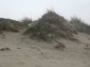 dune dune