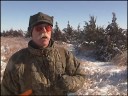 Hunting Pheasant in a Winter Wonderland Hunting Pheasant in a Winter Wonderland