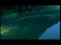 Visions of Austria - Elementare Bilderwelten - New Year's Concert 2000 - Neujahrskonzert 2000 (2/3)