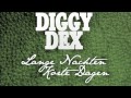 Diggy Dex - Lange nachten, korte dagen