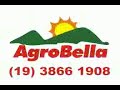 Festa do Pe�o de Tujuguaba - Conchal - SP