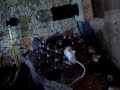 Acanthoscurria geniculata (STEFAN) L12 vs mysz na obiad.:)