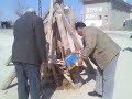 xalko golyazi xalko golyazi