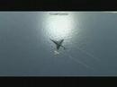 Jets-im-BF2-Mod-AIX