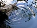 Stein fällt ins Wasser.