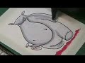Hippopotamus Hippopotamus