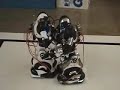 Two Hacked Robosapien Toys Autonomously Sumo Wrestle -- GS 07
