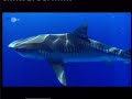 Hannes Jaenicke video 2