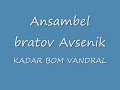 Ansambel bratov Avsenik-Kadar bom vandral.wmv