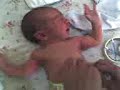 Fernandinhaaa