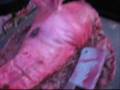 videos de Bloody Butcher Shop - Death In A Maze Soundscape