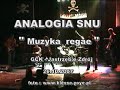 ANALOGIA SNU   