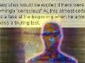 Eidolon A.I. offers Iraq Exit Strategy