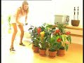 OASIS irrigazione piante di appartamento OASIS irrigazione piante di appartamento