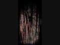 The Slender Man - Radio Waves