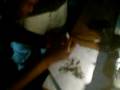 fastest joint roller