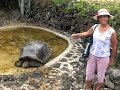 TORTUGA ( GALAPAGOS - ECUADOR ).MOV