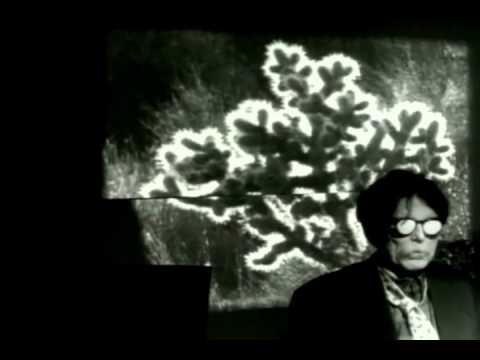 Art - Don van Vliet: Some YoYo Stuff (Anton Corbijn, 1994)