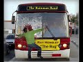 The Bug - Ray Hensley.wmv