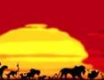 clip video Le Roi Lion Terre D'ombre
