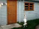 Assata and her new spring pole.