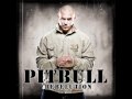 Pitbull-Samples