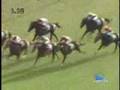 2007 ファンタジーＳ Fantasy Stakes