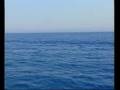 Ruoppolo Teleacras - La Marina salva, l' Onu ringrazia