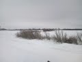 MOV00033.MP4