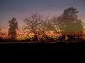 Br�nn� Serenad