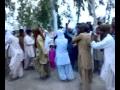 وڈیو سيل کہ