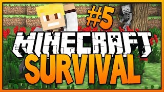 Minecraft: Survival  Let's Play - Episode 5 - HELL YEAH, DIAMONDS!