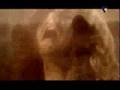 Kreator-Renewal