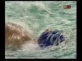 Felipe Perrone Goal Long distance water polo Felipe Perrone Goal Long distance water polo