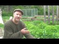 A short video about succession...