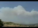 Big Sur Wildfire & Condor Update