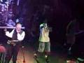 Fishbone-Bonin-In-Th