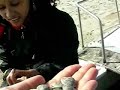 Catalar Vongole Catalar Vongole